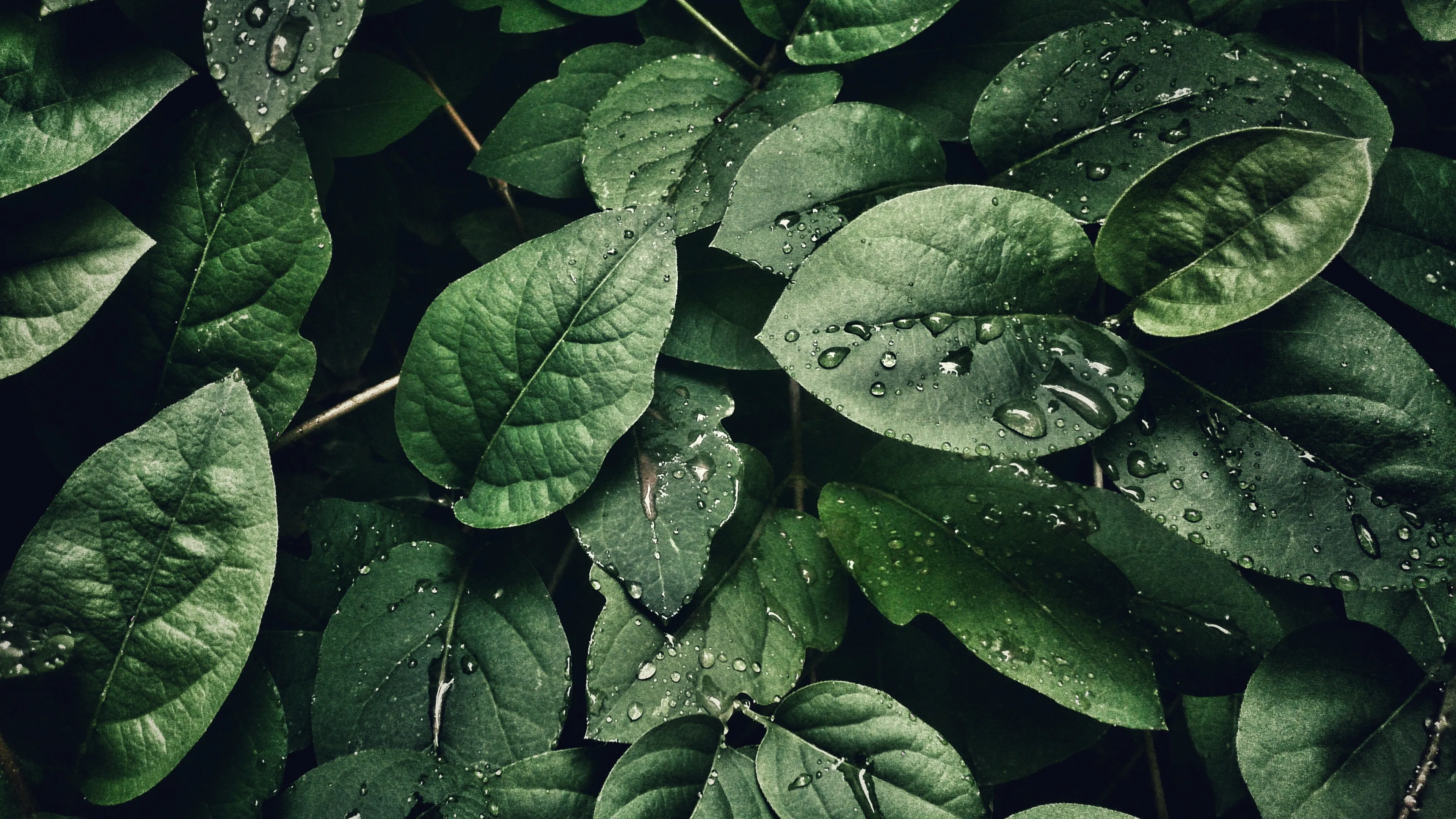When Breathing Becomes a Luxury
